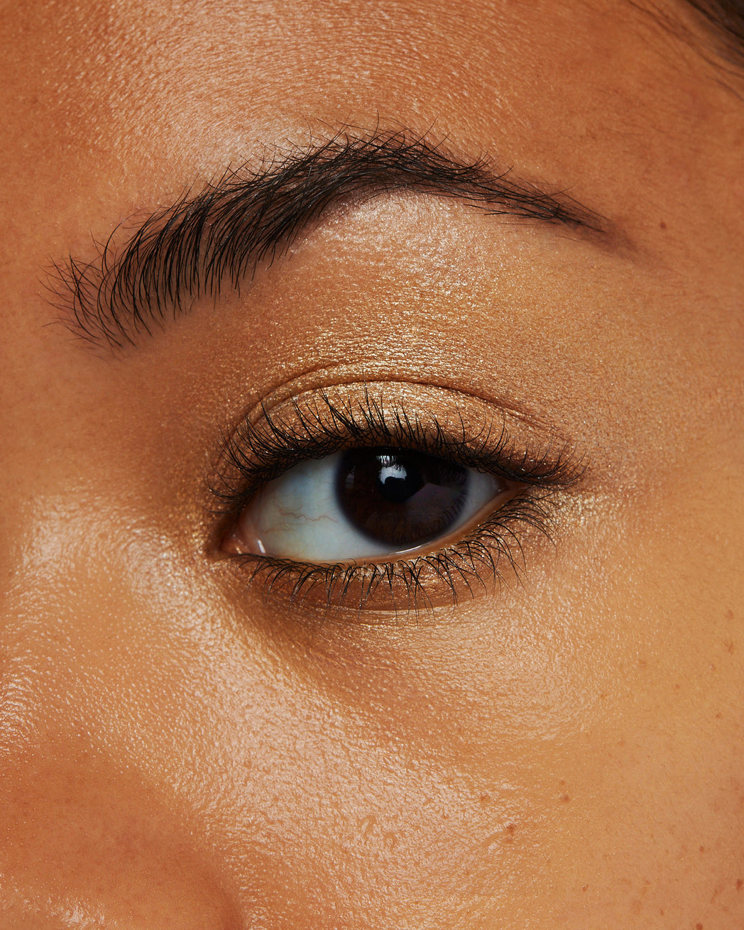 Shadowboxer Eye Crayon Gilded Gaze