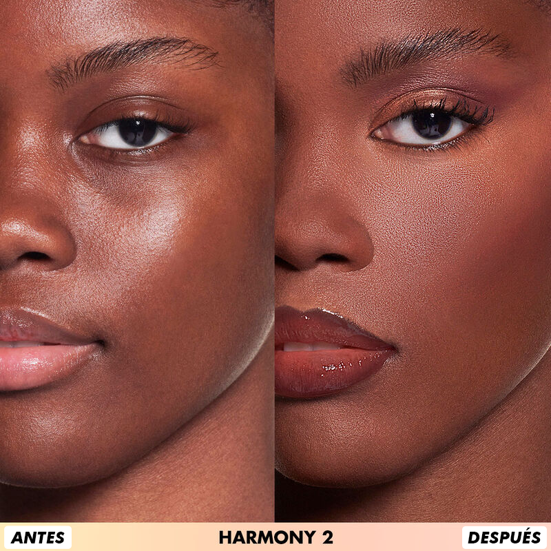 Skin All-in-one Face Palette - Harmony 2