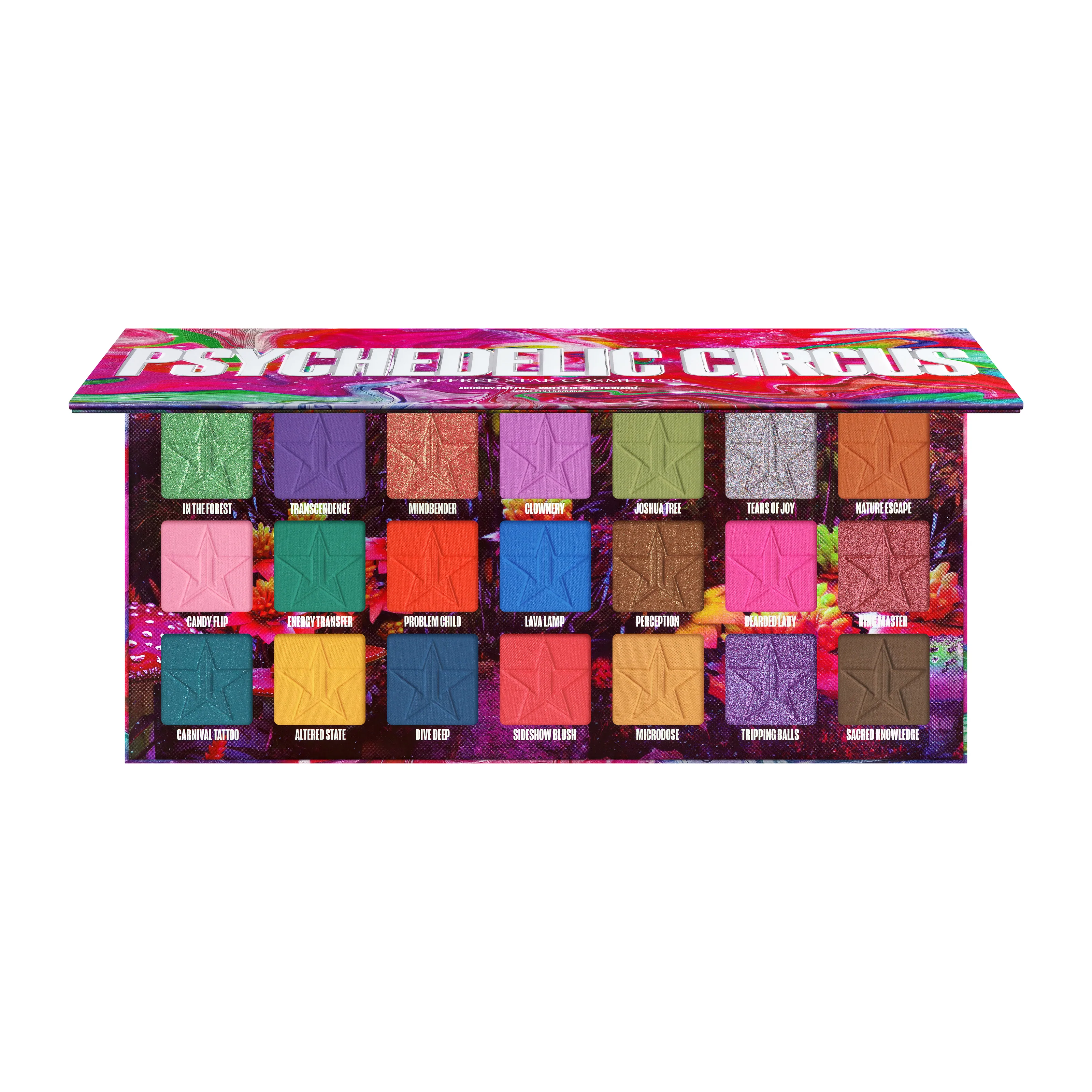 Psychedelic Circus Artistry Palette