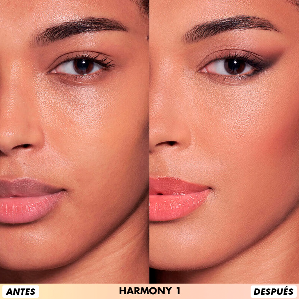 Skin All-in-one Face Palette - Harmony 1
