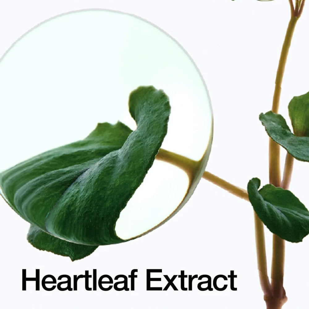 Heartleaf Pore Control Cleansing Oil